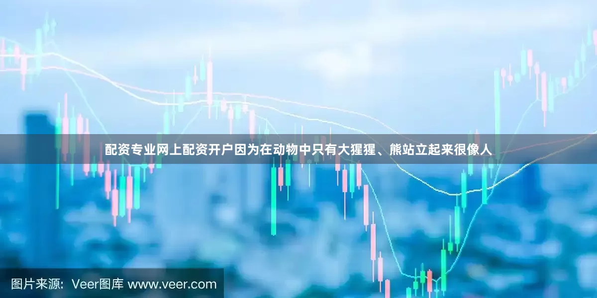 配资专业网上配资开户因为在动物中只有大猩猩、熊站立起来很像人