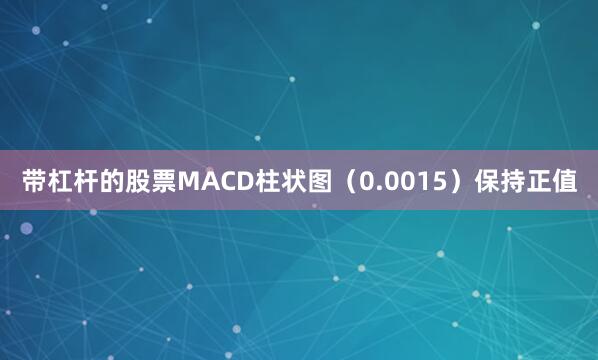 带杠杆的股票MACD柱状图（0.0015）保持正值