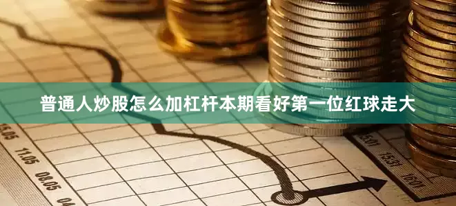 普通人炒股怎么加杠杆本期看好第一位红球走大