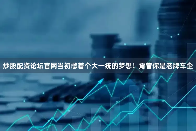 炒股配资论坛官网当初憋着个大一统的梦想！甭管你是老牌车企