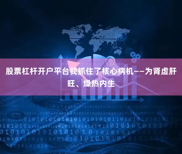股票杠杆开户平台我抓住了核心病机——为肾虚肝旺、燥热内生