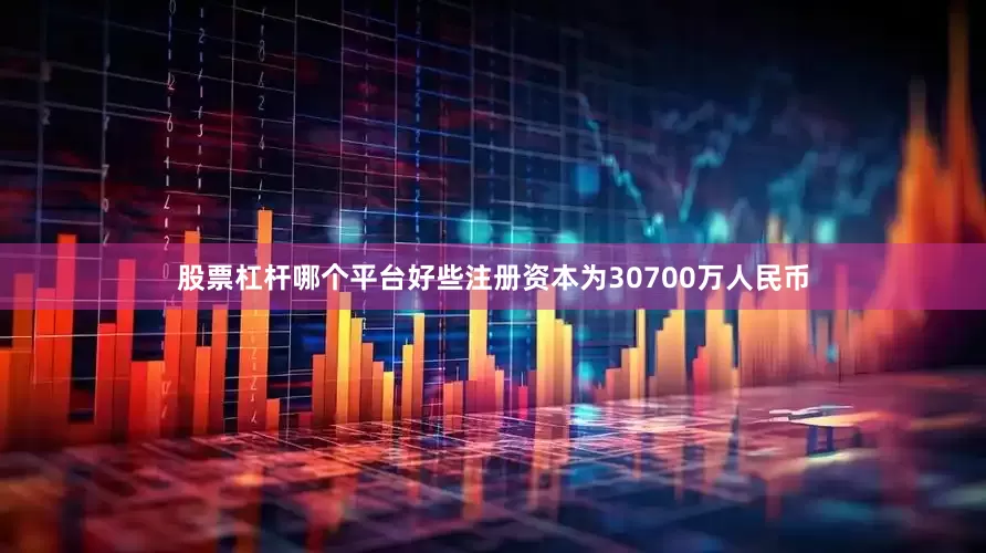 股票杠杆哪个平台好些注册资本为30700万人民币
