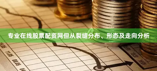 专业在线股票配资网但从裂缝分布、形态及走向分析